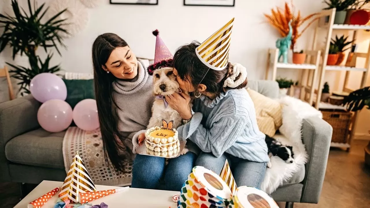 Veterinarios alertan que la humanización de las mascotas coarta la