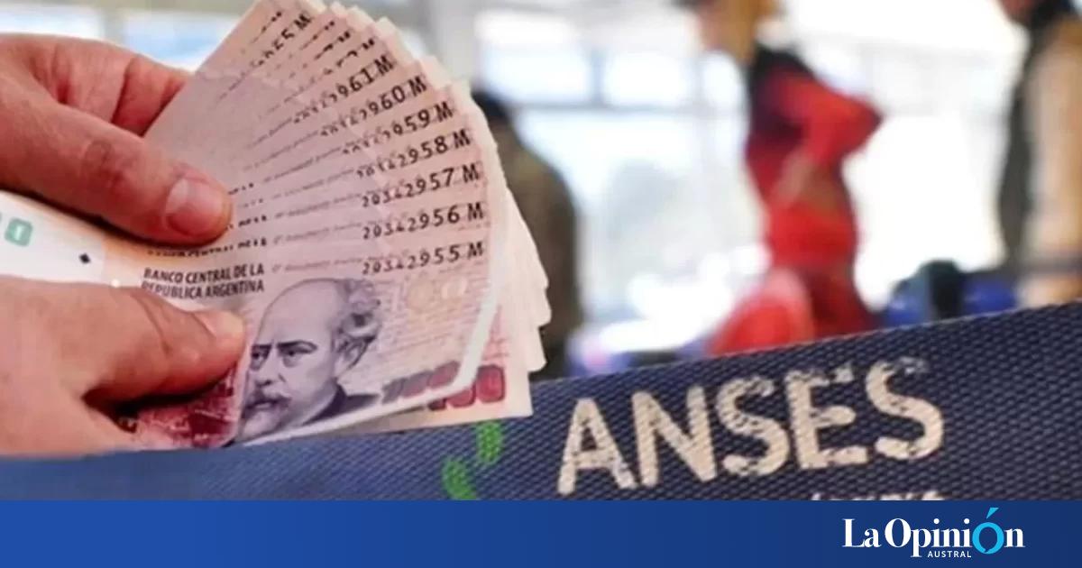 Anses Pagar Un Nuevo Bono Con Lo Recaudado Por El D Lar Sojero