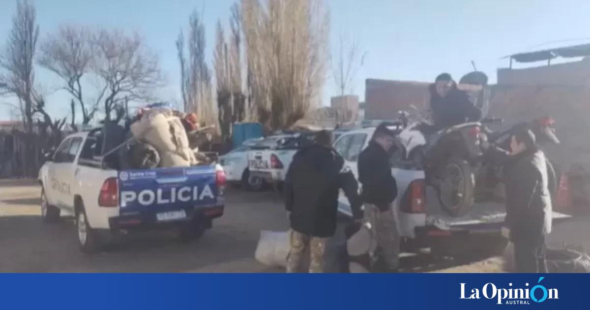 Allanaron Una Estancia Por Presunto Abigeato Y Encontraron Vacas Que