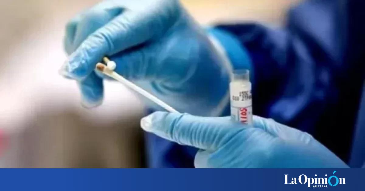 Test de antígenos PCR o serológicos Cuál es la diferencia entre las