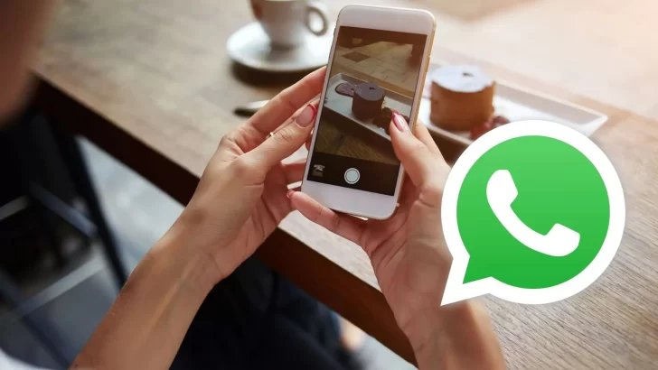 Whatsapp D Nde Se Almacenan Las Copias De Seguridad La Opin N Austral