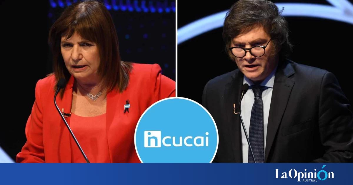 Tras El Debate El Incucai Cruz A Milei Y Bullrich Por Sus Dichos