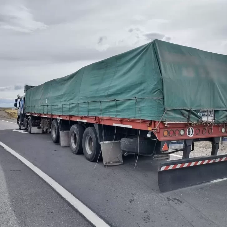 Atraparon a un camionero que venía con mercadería contrabandeada valuada en millones de pesos