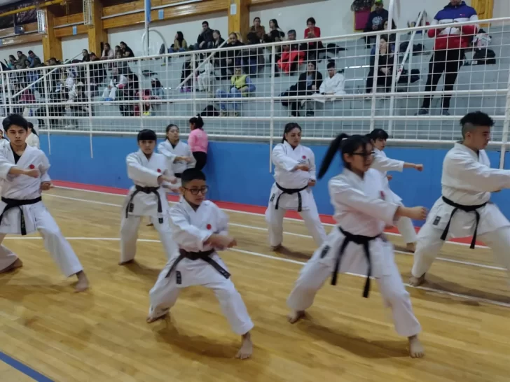 La Asociación SHOTO YUKU visitó Río Grande y festejó los 40 años de la llegada del karate en la localidad fueguina