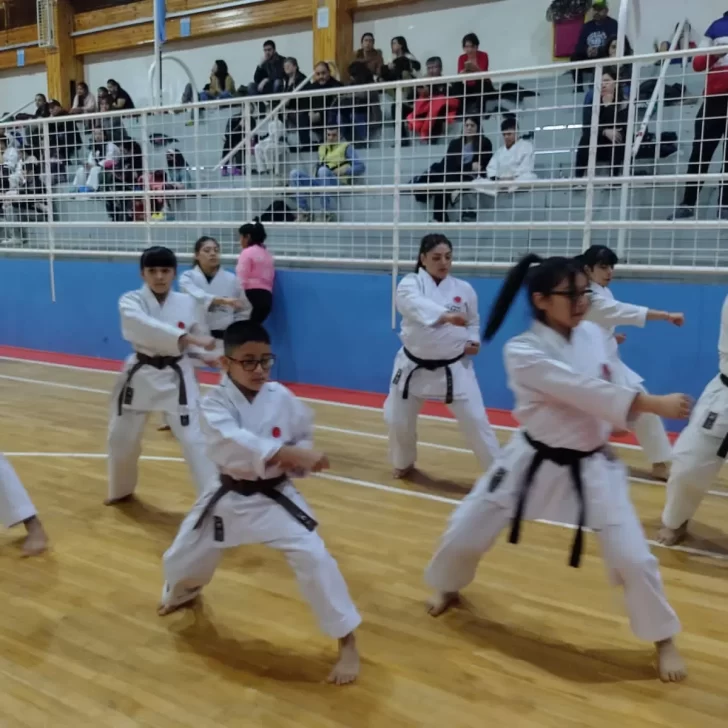 La Asociación SHOTO YUKU visitó Río Grande y festejó los 40 años de la llegada del karate en la localidad fueguina