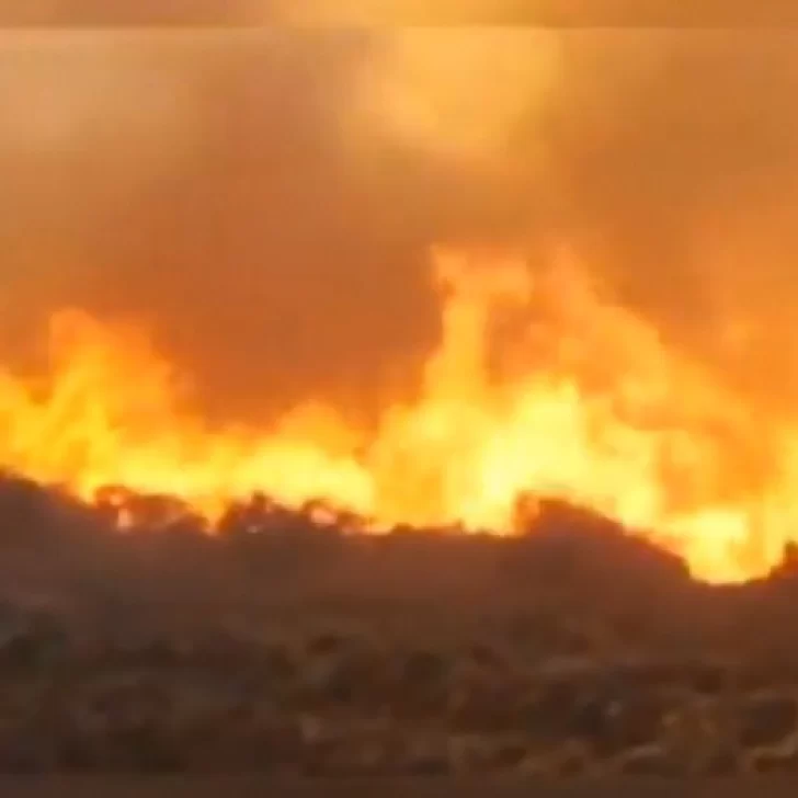 Incendio cerca de un pozo petrolero operado por CGC: contuvieron el fuego e investigan las causas que lo provocaron