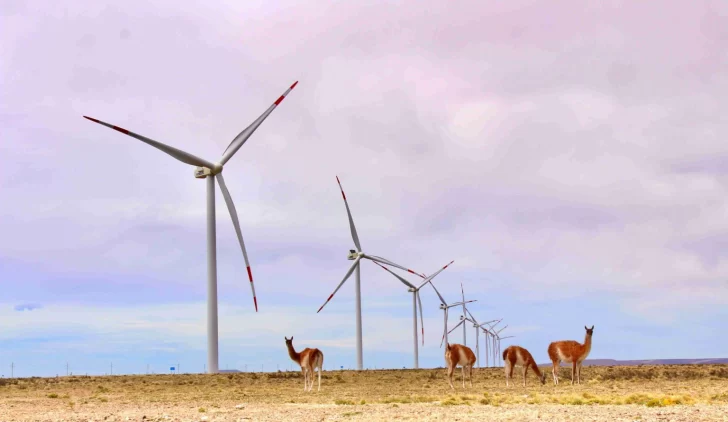 Estudios alientan proyectos de energía eólica en Río Gallegos