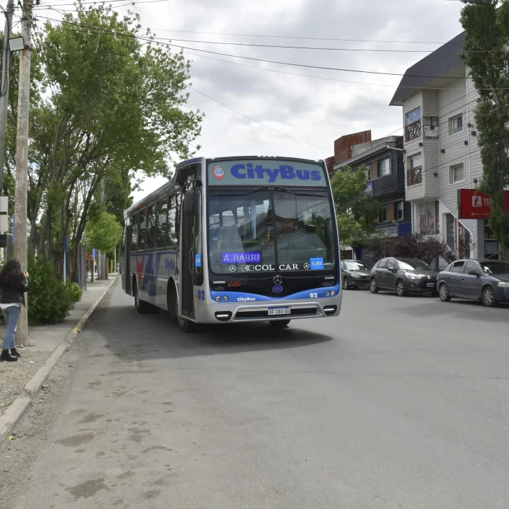 ¿Otra vez sin colectivos? La UTA convocó a un paro nacional para este viernes