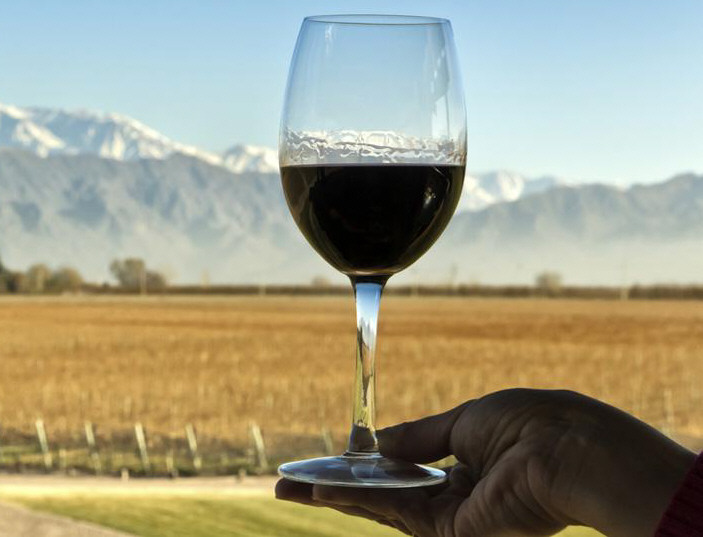 Guerra del vino: chilenos buscan apropiarse de la marca “Patagonia”