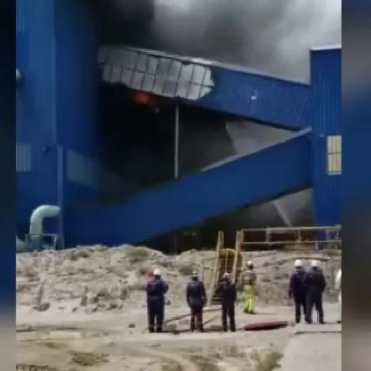 Se le realizará una inspección para determinar las causas del incendio Se le realizará una inspección para determinar las causas del incendio