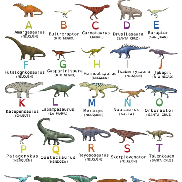 Creó un alfabeto con los nombres de los de dinosaurios que vivieron en Argentina Creó un alfabeto con los nombres de los de dinosaurios que vivieron en Argentina