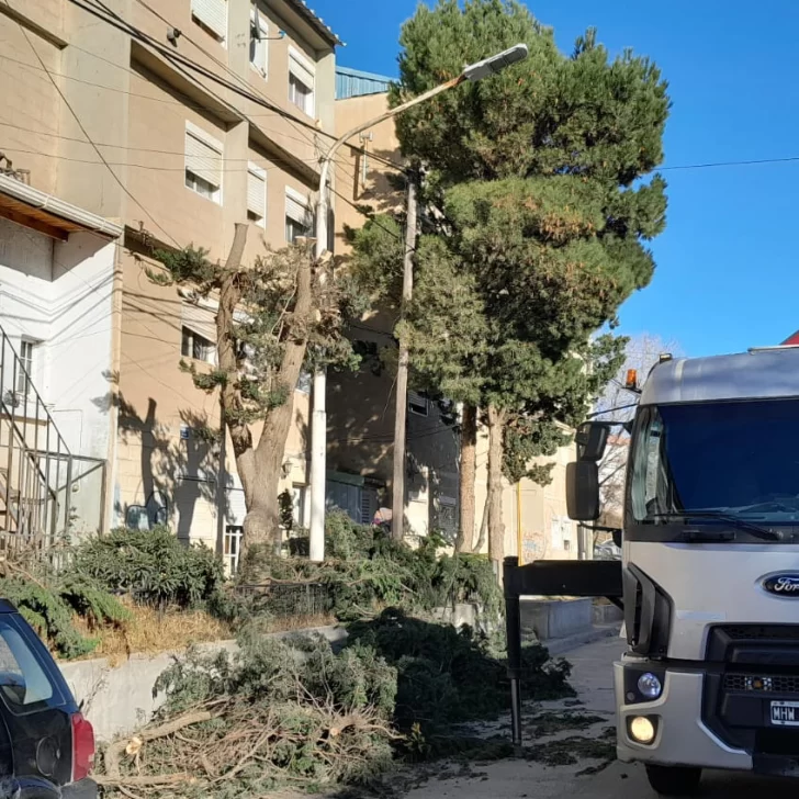 El temporal de viento azotó toda la zona norte de Santa Cruz: hubo ráfagas de hasta 154 km/h