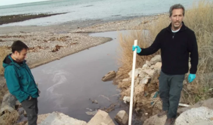 Pesqueras de Puerto Deseado deben mejorar los vertidos a la Ría