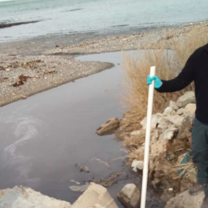 Pesqueras de Puerto Deseado deben mejorar los vertidos a la Ría