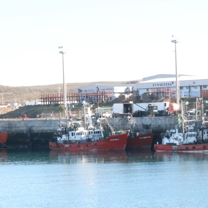 La pesca intensifica el movimiento en los puertos de Santa Cruz La pesca intensifica el movimiento en los puertos de Santa Cruz