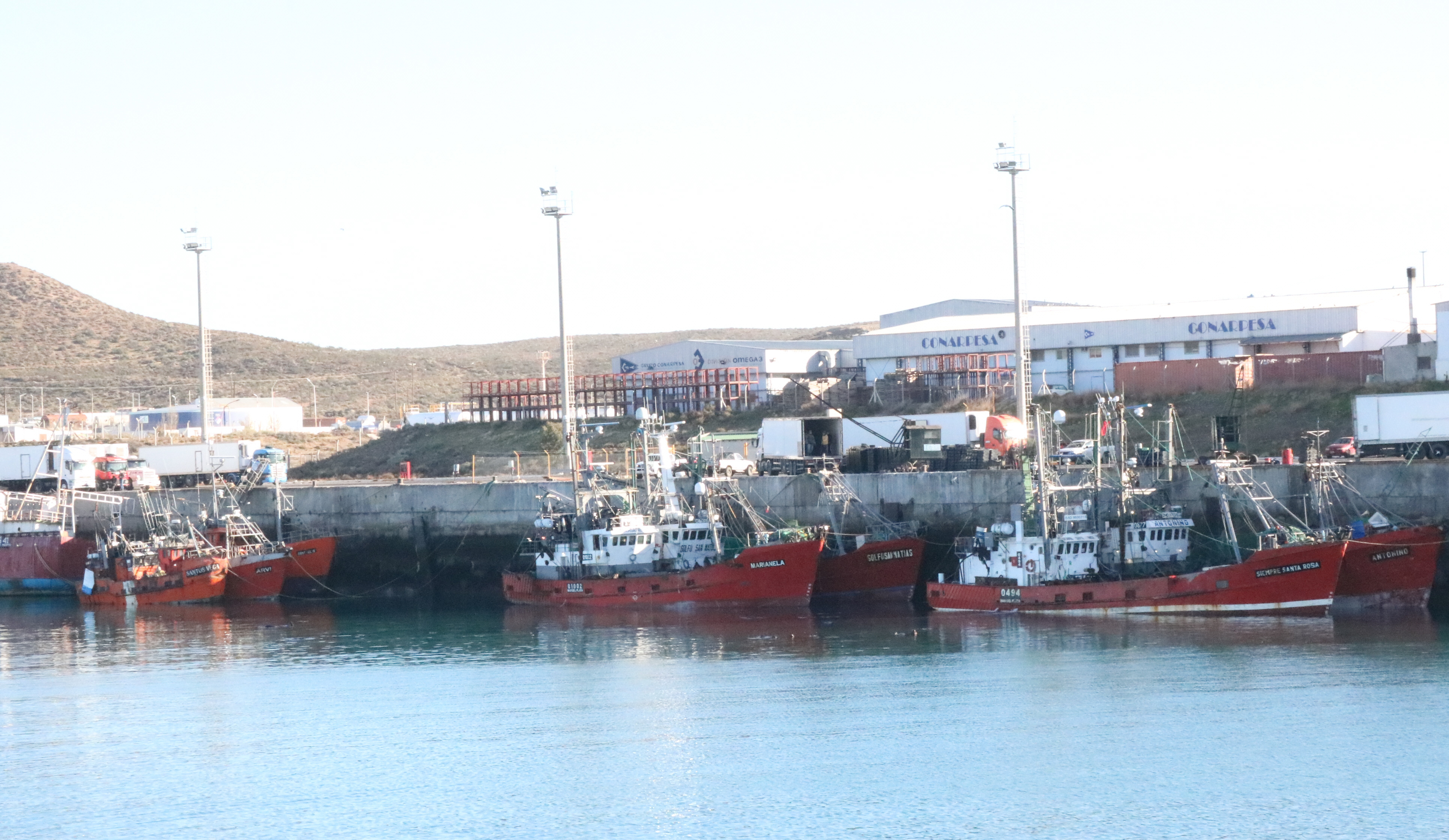 La pesca intensifica el movimiento en los puertos de Santa Cruz La pesca intensifica el movimiento en los puertos de Santa Cruz