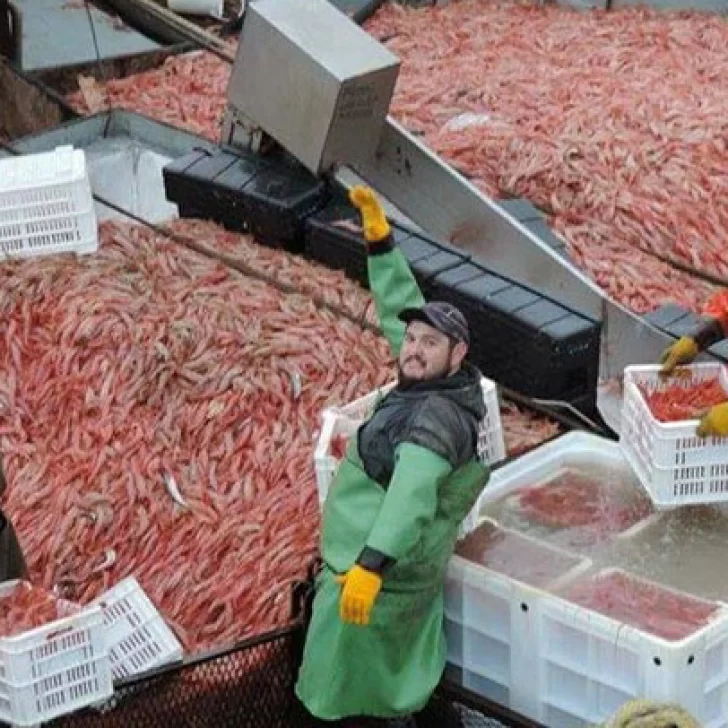 Langostino: el Consejo Federal puso fecha al cierre de la temporada Langostino: el Consejo Federal puso fecha al cierre de la temporada