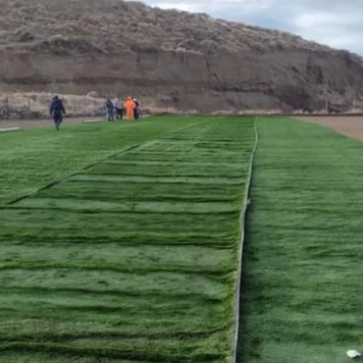 La cancha de la Liga de los Barrios de Caleta luce cada vez más verde