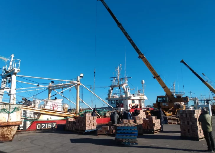 Datos promisorios: mejoraron los embarques de exportación desde Puerto Deseado