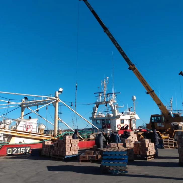 Datos promisorios: mejoraron los embarques de exportación desde Puerto Deseado Datos promisorios: mejoraron los embarques de exportación desde Puerto Deseado