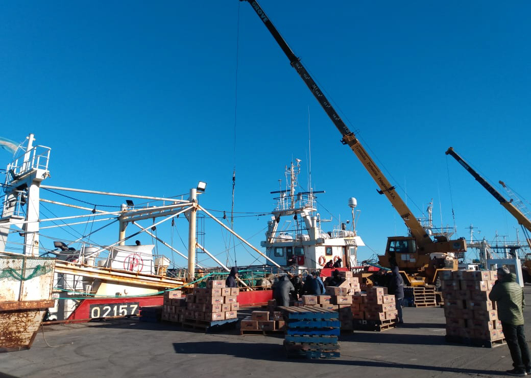 Datos promisorios: mejoraron los embarques de exportación desde Puerto Deseado Datos promisorios: mejoraron los embarques de exportación desde Puerto Deseado