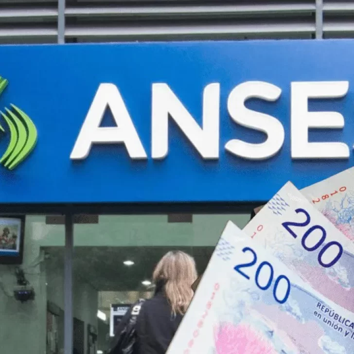 ANSES respondió consultas sobre IFE, pensiones, CBU e inscripción digital ANSES respondió consultas sobre IFE, pensiones, CBU e inscripción digital