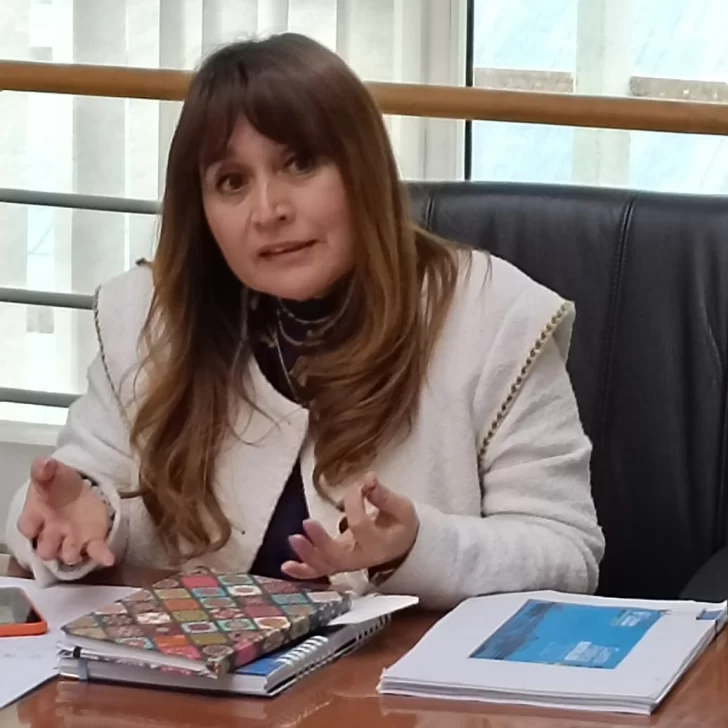 Alcaldesa de Puerto Natales sobre la apertura del paso fronterizo Dorotea: “Va a reactivar la economía bilateral”