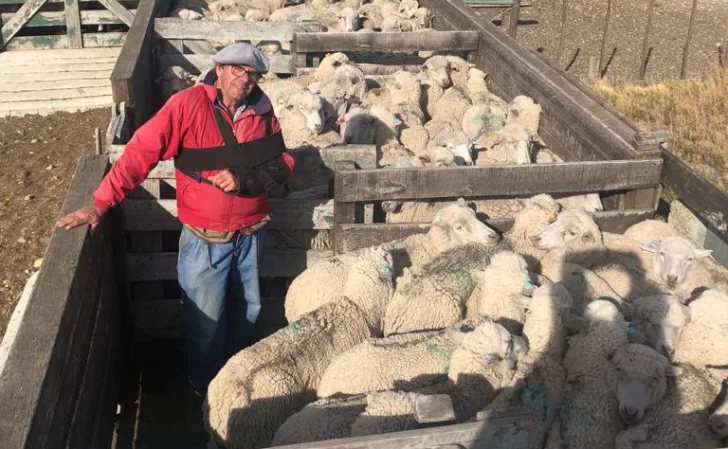 “El que crea que con el ovino ya hizo y aprendió todo, está equivocado”