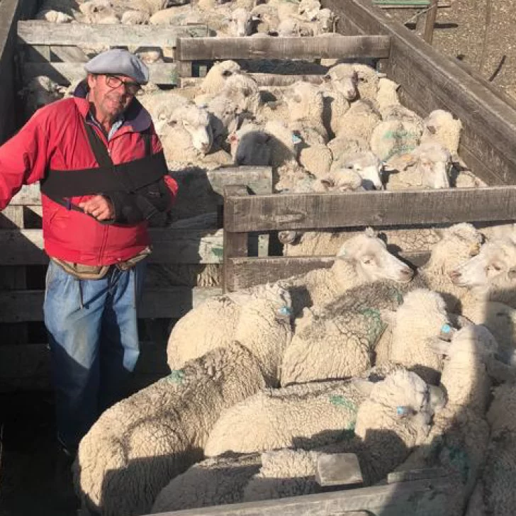 “El que crea que con el ovino ya hizo y aprendió todo, está equivocado” “El que crea que con el ovino ya hizo y aprendió todo, está equivocado”