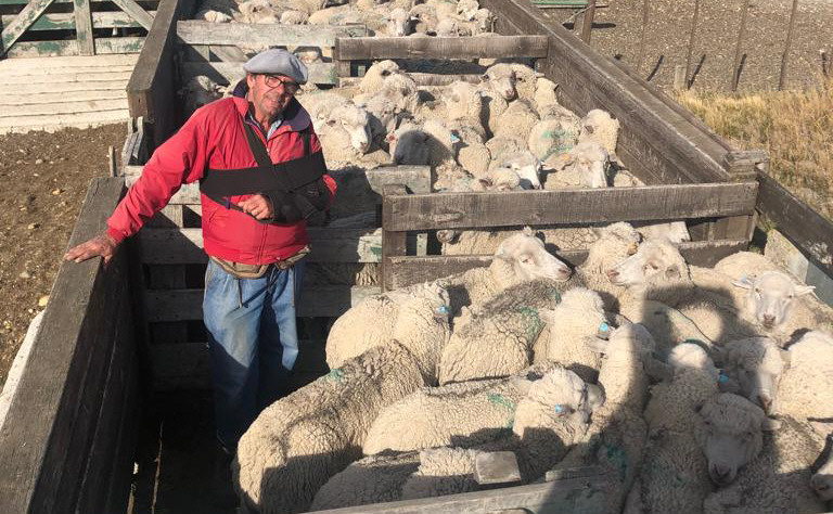 “El que crea que con el ovino ya hizo y aprendió todo, está equivocado” “El que crea que con el ovino ya hizo y aprendió todo, está equivocado”