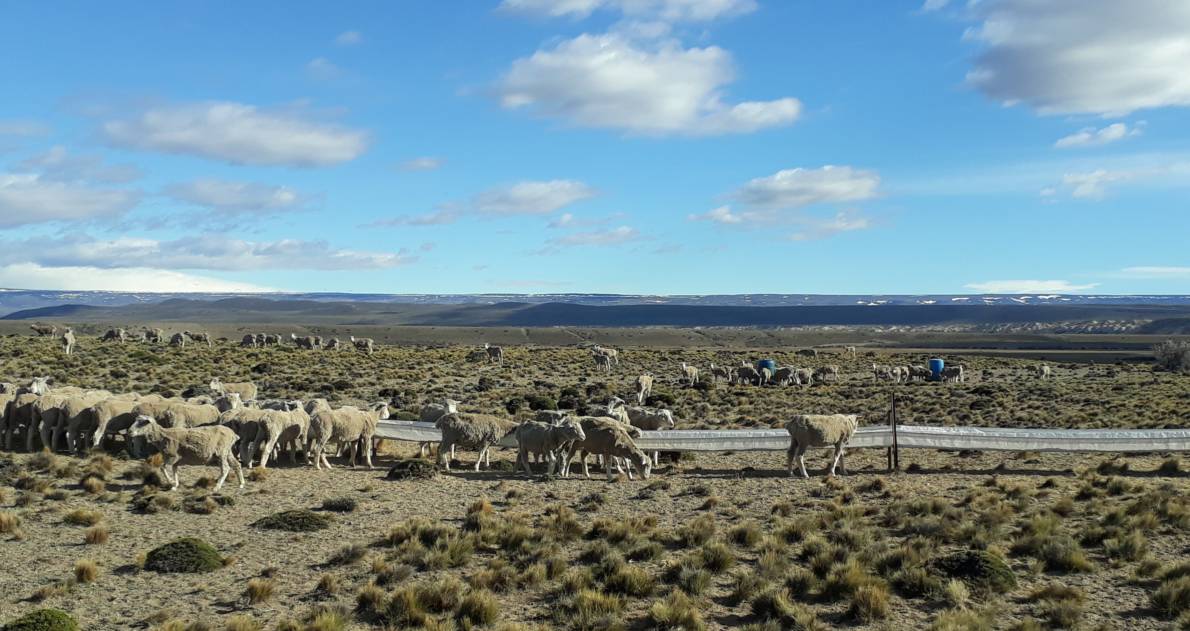 Sistemas y tecnologías para hacer un manejo más dinámico en el campo Sistemas y tecnologías para hacer un manejo más dinámico en el campo