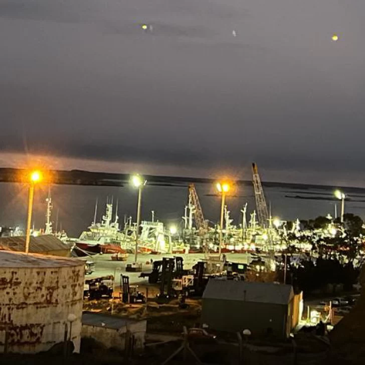 Langostino: una zafra cruzada por la polémica y que derivó en oportunidad Langostino: una zafra cruzada por la polémica y que derivó en oportunidad