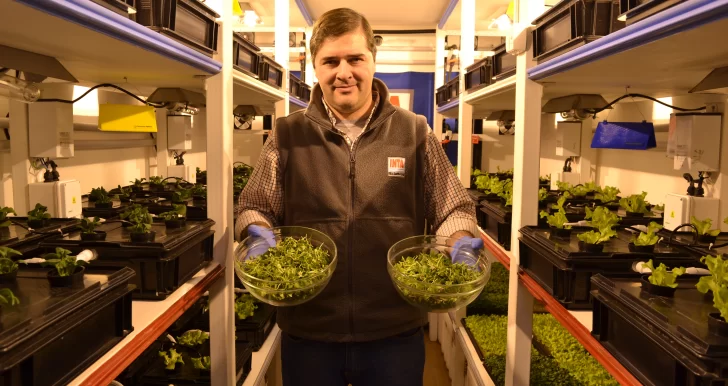 Video. Histórico: santacruceños producen verduras en la Base Marambio
