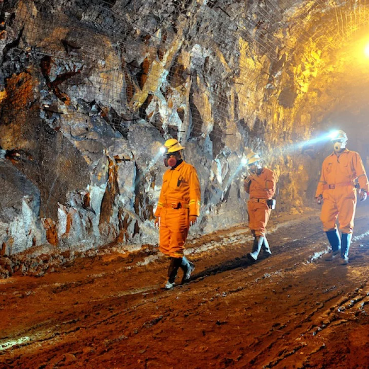 Santa Cruz concentró el 45,2% de las exportaciones mineras hasta julio