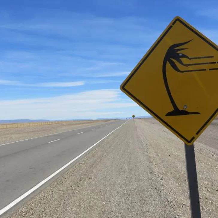Circulación restringida por fuertes vientos y baja visibilidad en la Ruta 40 en Santa Cruz