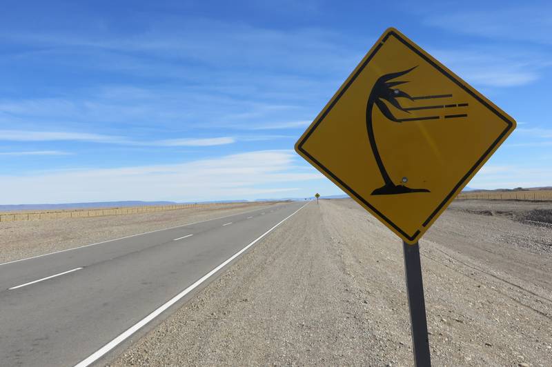 Circulación restringida por fuertes vientos y baja visibilidad en la Ruta 40 en Santa Cruz