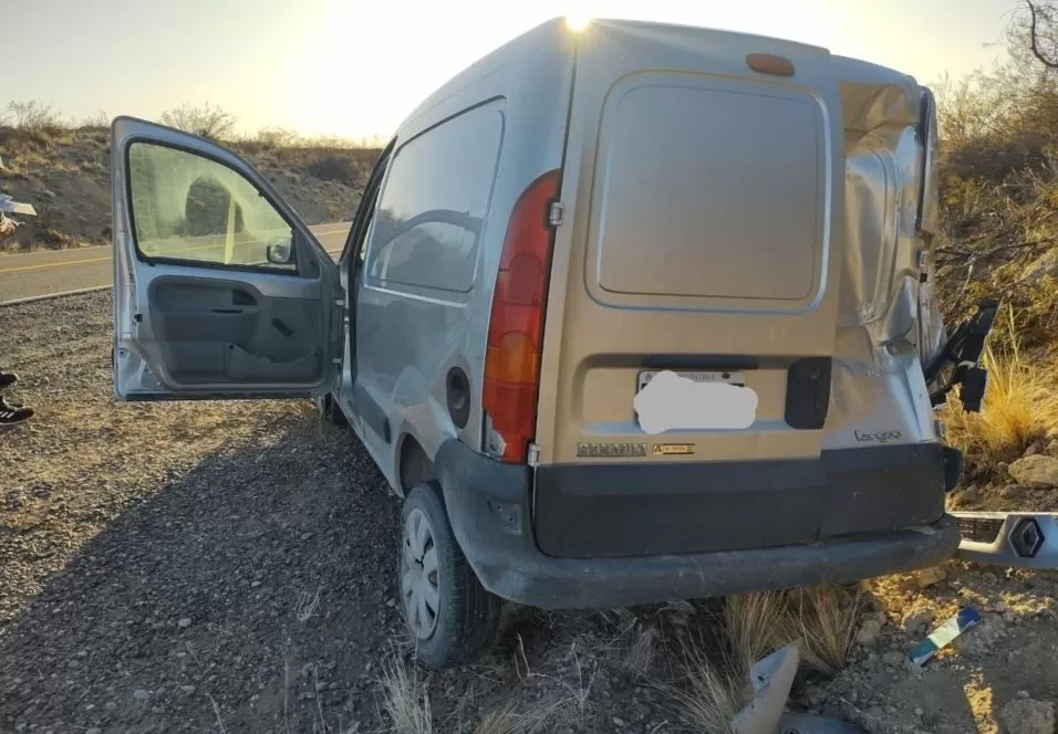 Volanteó hacia la banquina para evitar chocar contra una tropilla de guanacos en la ruta