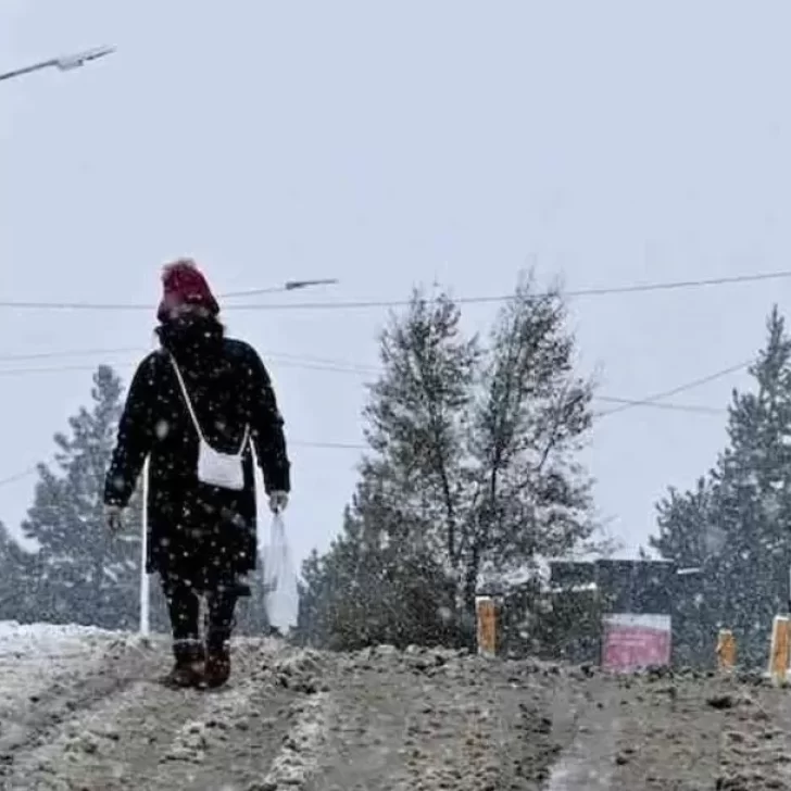 Alerta amarillo por nieve en tres provincias de la Patagonia