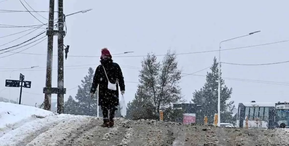 Alerta amarillo por nieve en tres provincias de la Patagonia