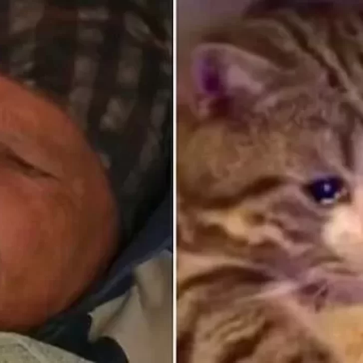 Los mejores memes tras la salida de Alfa de Gran Hermano Los mejores memes tras la salida de Alfa de Gran Hermano