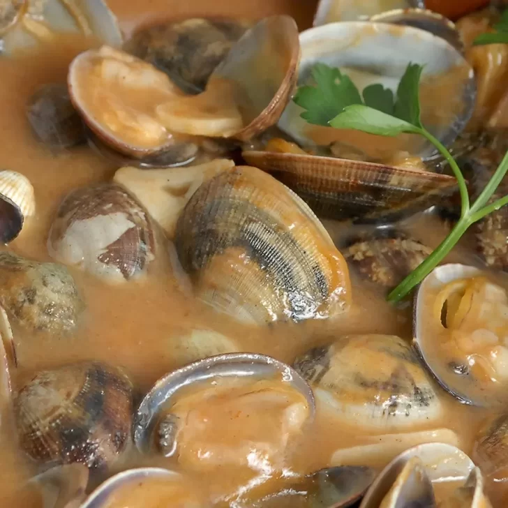 Almejas: recetas fáciles para cocinar con este fruto de mar que está en temporada