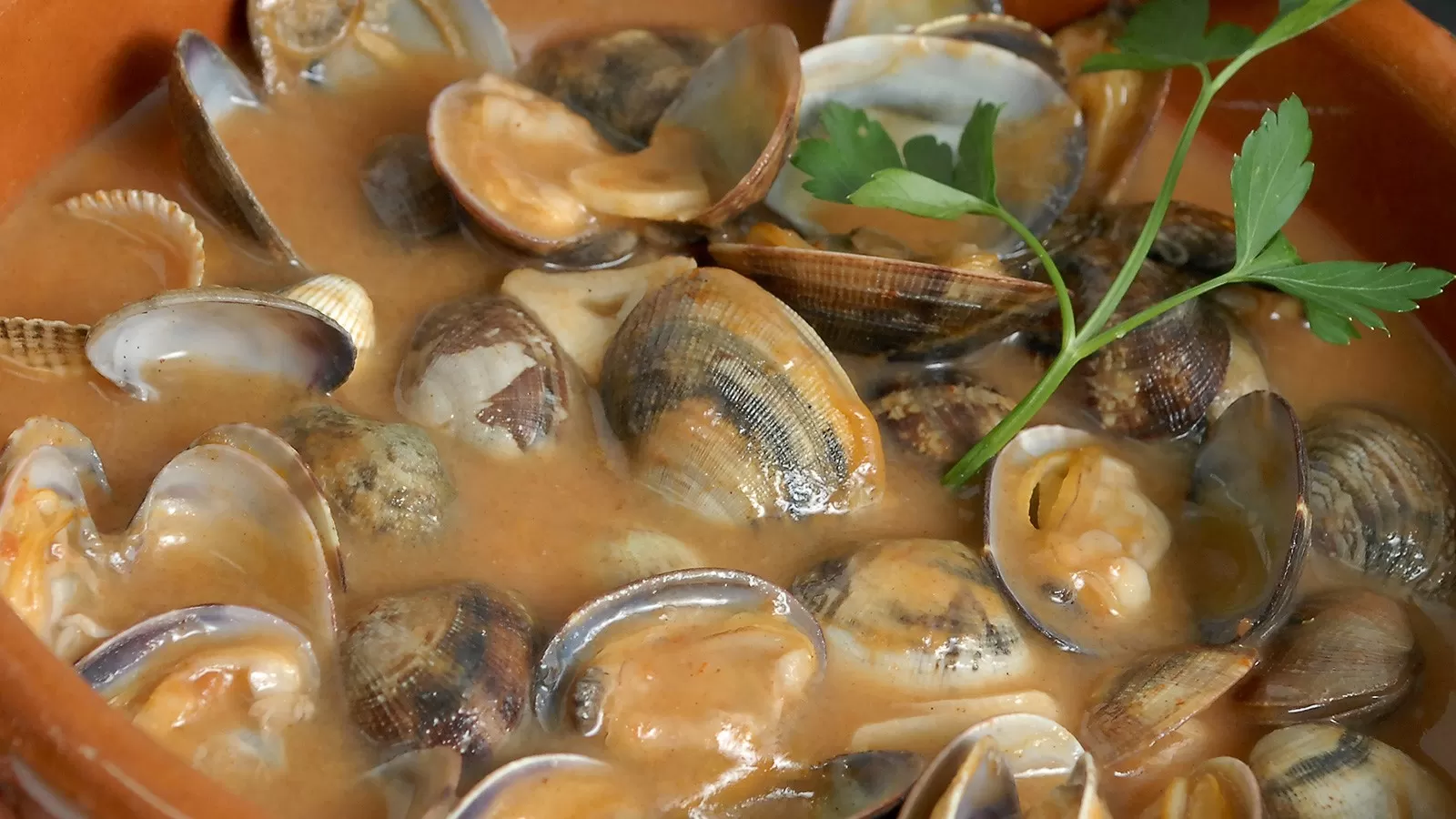 Almejas: recetas fáciles para cocinar con este fruto de mar que está en temporada