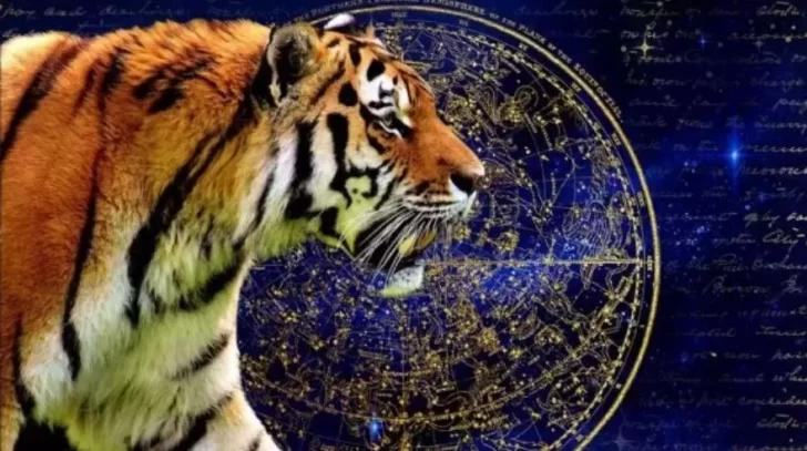 Año Nuevo Chino: qué significa el año del tigre y cuáles son las características de los nacidos bajo este signo