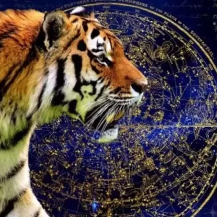 Año Nuevo Chino: qué significa el año del tigre y cuáles son las características de los nacidos bajo este signo