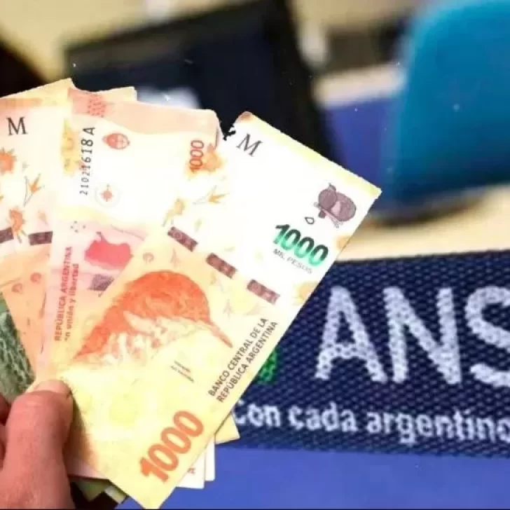 Anses otorgará hasta $40.000 esta semana a personas sin trabajo: a quienes les corresponde y cómo acceder  