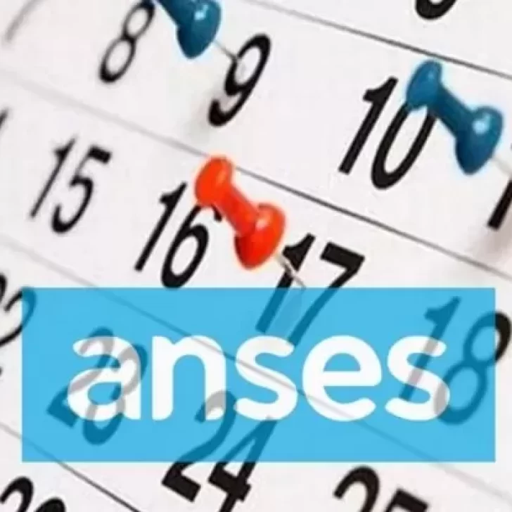 Anses confirmó su calendario de pagos para noviembre: ¿Cuándo cobro?