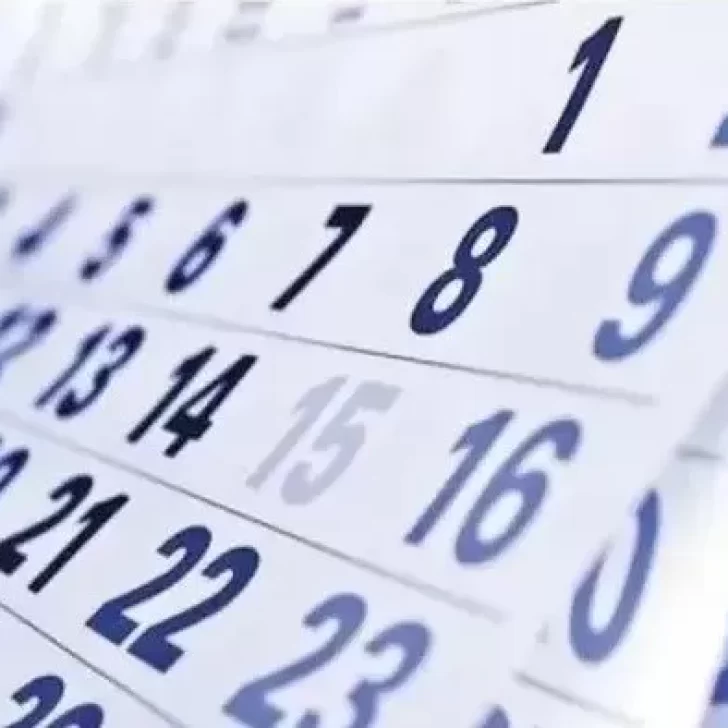 ANSES: quiénes cobran este viernes 8 de julio de 2022