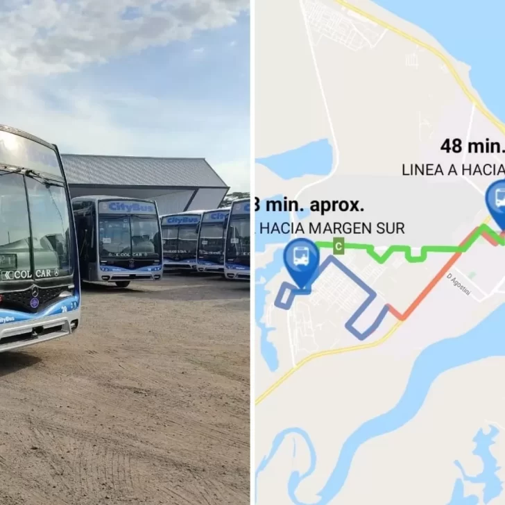 Colectivos en Río Gallegos: cómo será la app para conocer horarios, paradas y recorridos