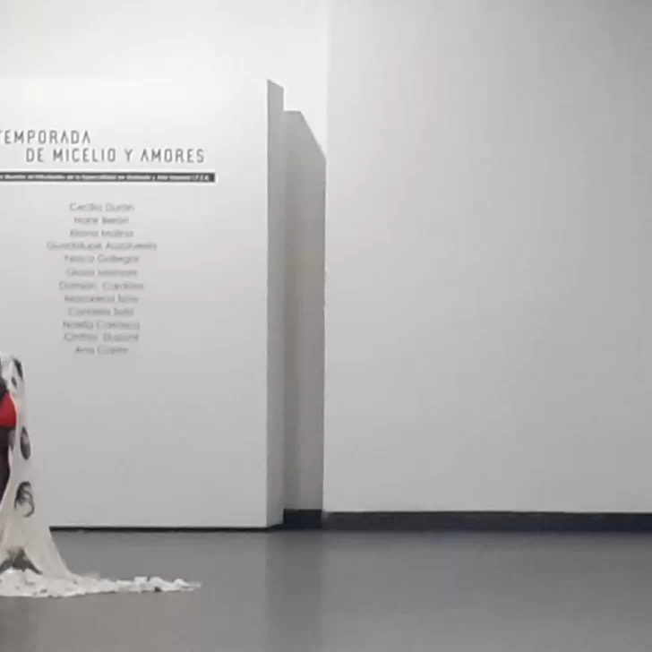 12 artistas inauguran la muestra “Temporada de Micelio y Amores”