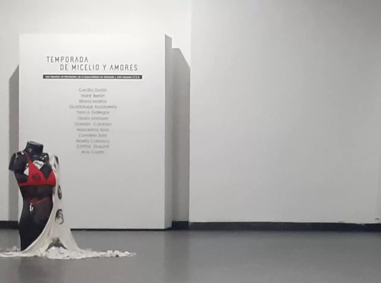 12 artistas inauguran la muestra “Temporada de Micelio y Amores”